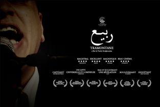 听风者之歌,揭秘自然与心灵的和谐共鸣